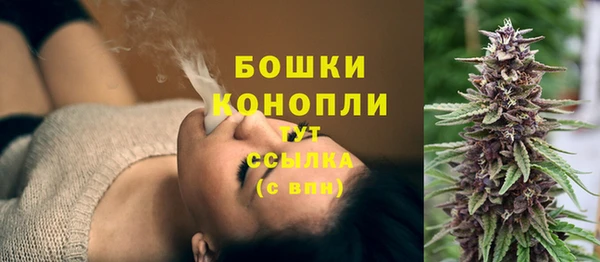 бошки Инта