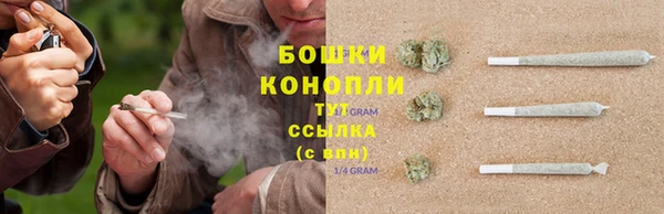 первитин Инсар