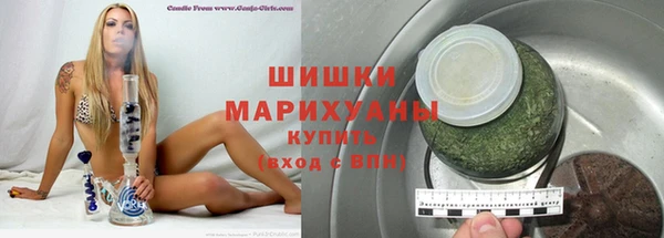 бошки Инта