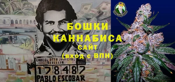 молекула духа Иннополис