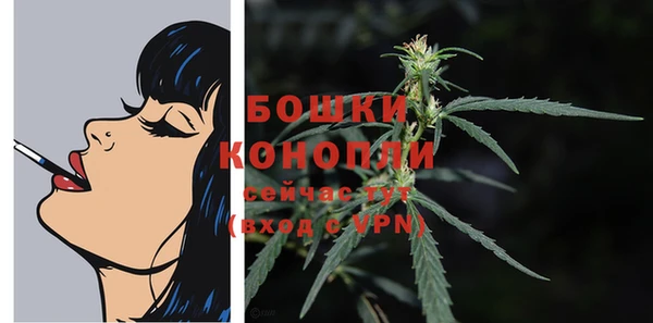 первитин Инсар