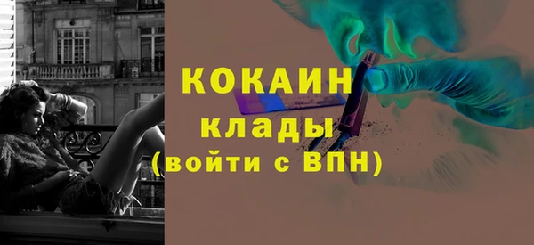 бошки Инта