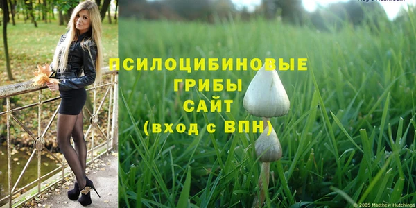 молекула духа Иннополис