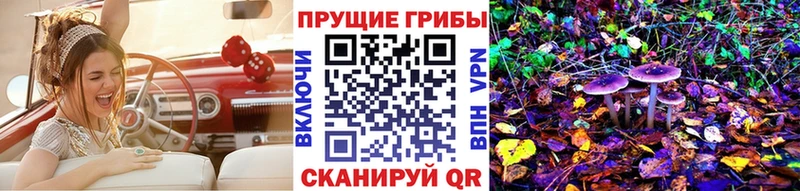 Псилоцибиновые грибы мицелий  мега вход  Южно-Сухокумск 